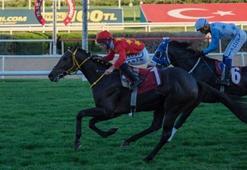 Eskişehir Sanayi Odası Koşusu’nu Aimus Liberatus kazandı