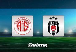 Antalyaspor - Beşiktaş maçı ne zaman, saat kaçta, hangi kanalda? (Muhtemel 11'ler)