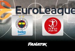 Fenerbahçe Beko - Hapoel IBI Tel Aviv maçı ne zaman, saat kaçta hangi kanalda?