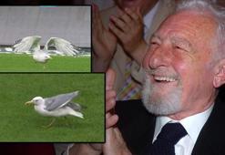 Beşiktaş - Samsunspor maçına damga vuran 'Martı'! Süleyman Seba'nın sözleri gündem oldu: 'Bir gün sizi özlersem...'