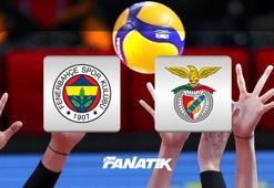 Fenerbahçe Medicana-Benfica voleybol maçı ne zaman, saat kaçta, hangi kanalda canlı yayınlanacak? (CEV Şampiyonlar Ligi)