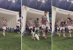 Fluminense FC'de herkes köpekle çıktı o varmış gibi yaptı