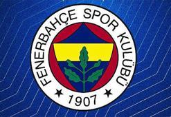 Fenerbahçe Beko'da sakatlık şoku! 3 hafta sahalardan uzak kalacak