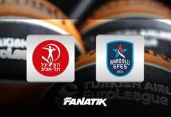 Hapoel Tel Aviv-Anadolu Efes maçı ne zaman, saat kaçta, hangi kanalda canlı yayınlanacak? (EuroLeague)