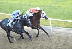 Ege Derbisi'nin kazananı The Protecter!