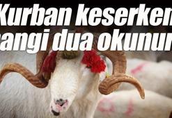 Kurban Bayramı 2026 kurban duası: Kurban keserken hangi dua okunur?