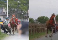 Japonya’da festivalde koşan yarış atı kalabalığın arasına daldı: 6 yaralı