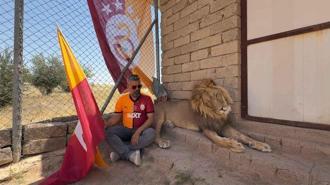 Galatasaraylı taraftar, şampiyonluğu aslanlarıyla kutladı
