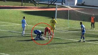 Sahaya köpek girdi, kalenin önünde uyuya kaldı! Gülümseten anlar