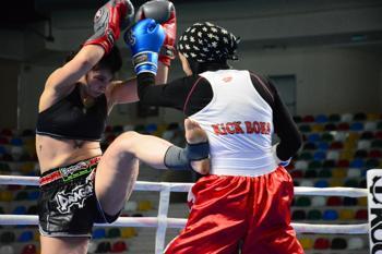 Büyükler Profesyonel Kick Boks Türkiye Şampiyonası Kocaeli'de başladı!