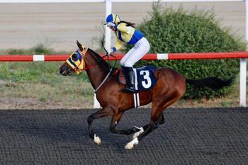 Veliefendi'de devrilen atın kadın jokeyi yaşam savaşı veriyor!