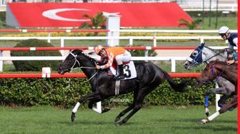 95. Gazi Koşusu'nu izle!