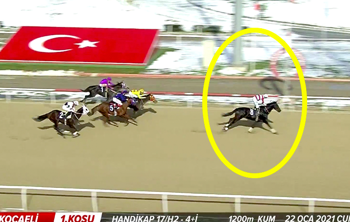 At yarışında Atiba'dan kariyer rekoru!