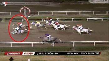 Şanlıurfa'daki yarışı düşerek 1. bitirdi! At yarışında yürekleri ağza getiren kaza!
