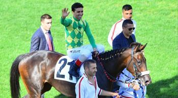 Ahmet Çelik: Yüreği erkeklerden daha büyük olan dişi safkanla kazandım