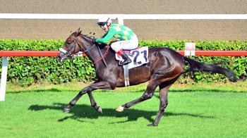 93'üncü Gazi Koşusu'nu The Last Romance kazandı