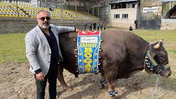 Artvin'den Ali Koç'a boğalı destek