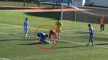 Sahaya köpek girdi, kalenin önünde uyuya kaldı! Gülümseten anlar