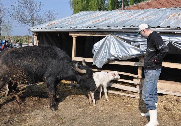 Mandaya Demba Ba adı verildi