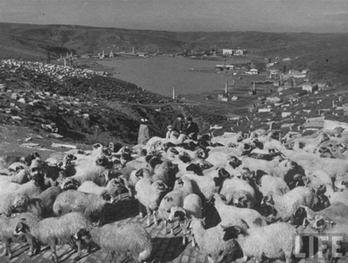 İstanbul fotoğrafları... İlk kez göreceksiniz