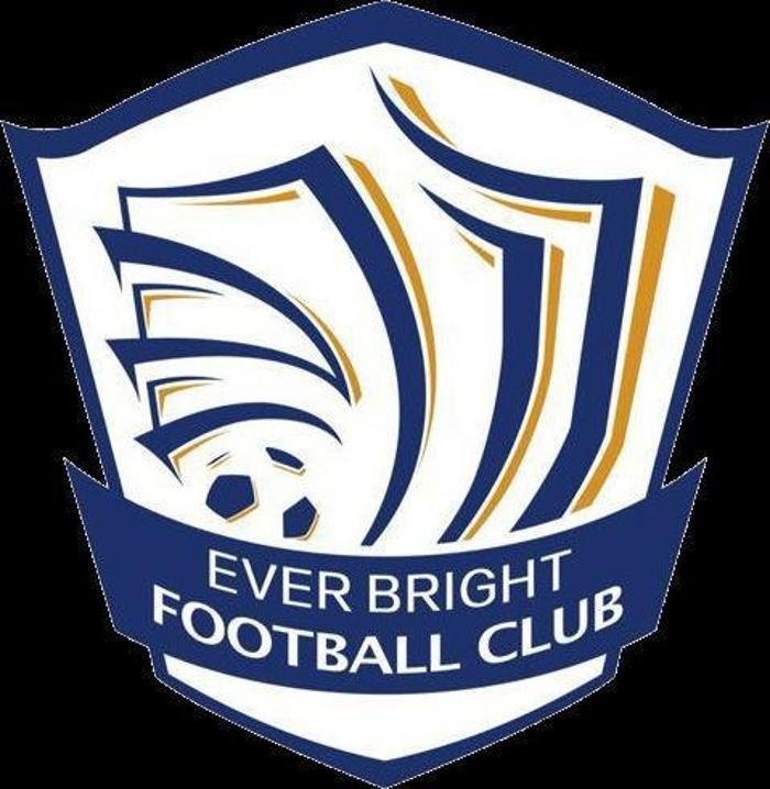 SHİJİAZHUANG EVER BRIGHT