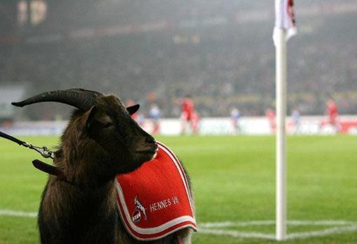KOLN