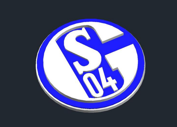 16) Schalke 04