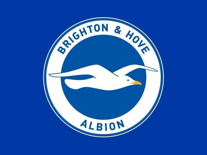 29) Brighton & Hove Albion