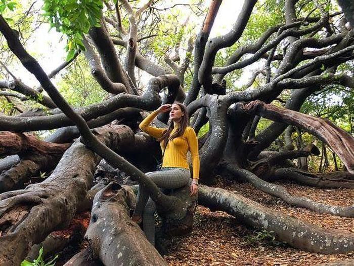 Fahriye Evcen ve Burak Özçivitin bu fotoğrafı çok tepki aldı