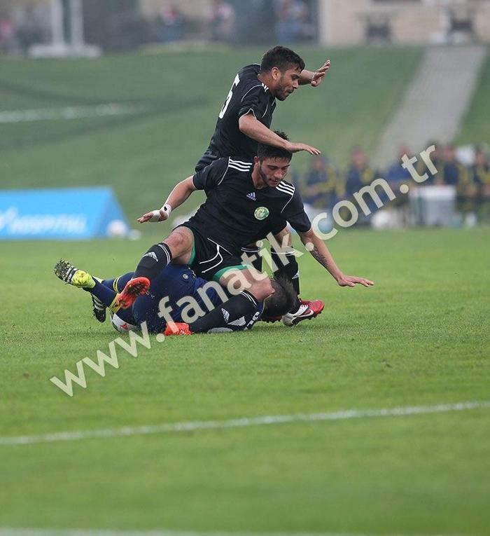 Fenerbahçe 1-0 Şanlıurfaspor
