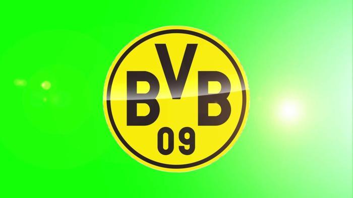 18) Borussia Dortmund