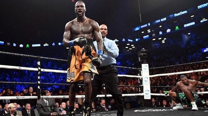 Deontay Wilder, Luis Ortizi nakavt etti