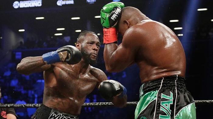 Deontay Wilder, Luis Ortizi nakavt etti