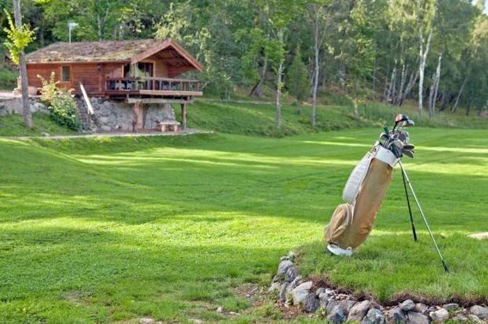 Tiger Woods adasını satıyor