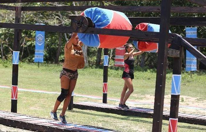 Survivorda Turabinin çizimi herkesi şok etti