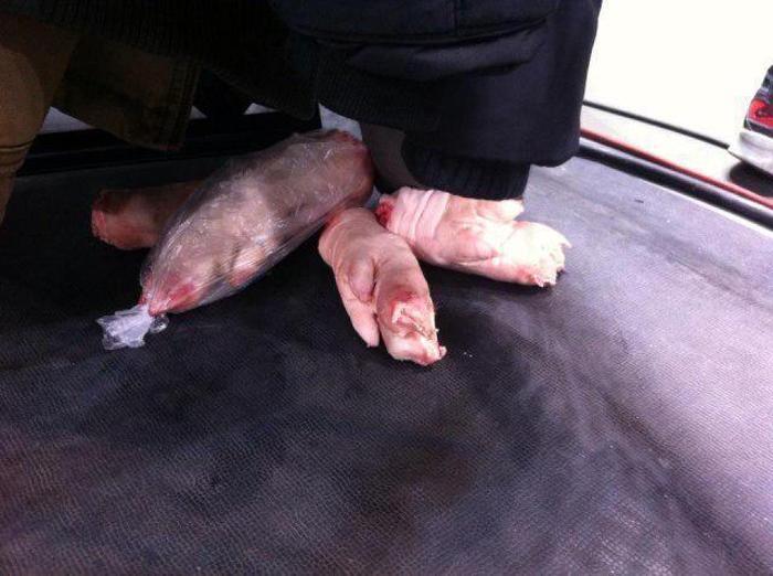 Kızılyıldız - Galatasaray Liv Hospital maçından çok özel fotoğraflar