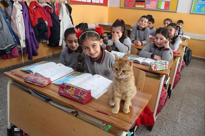 Öğrenciler Tombiye kavuştu