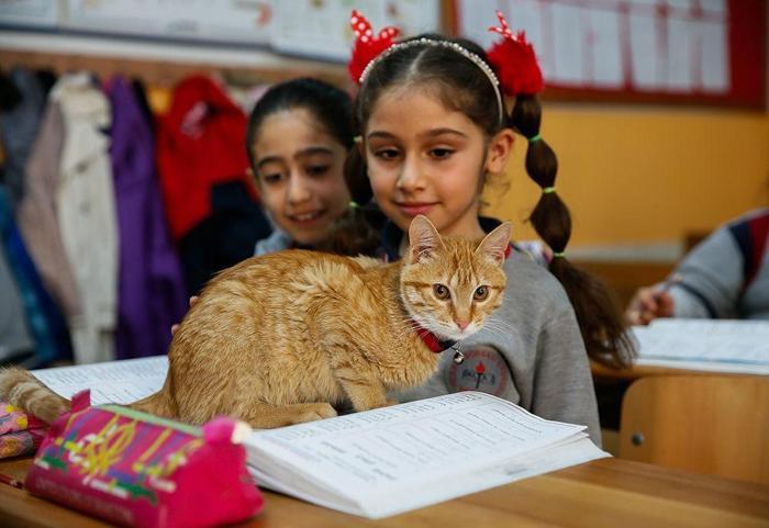 Öğrenciler Tombiye kavuştu