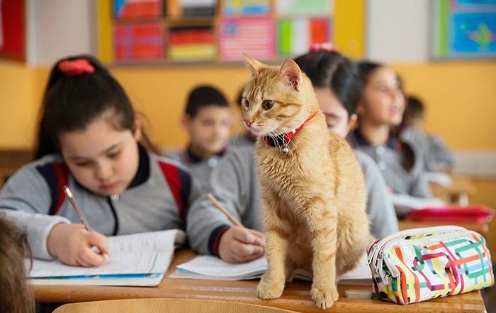 Öğrenciler Tombiye kavuştu