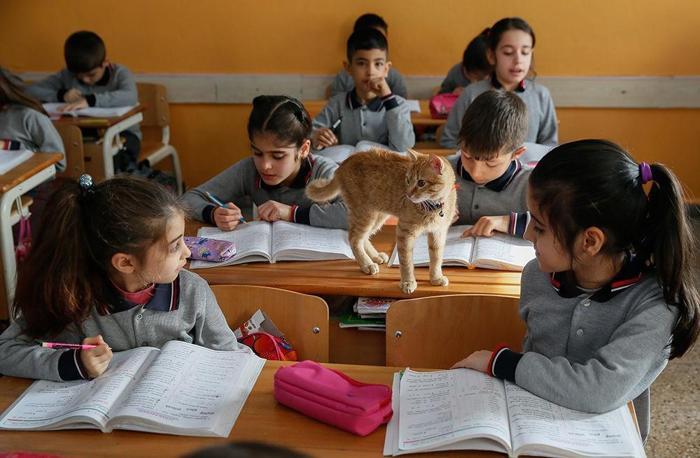 Öğrenciler Tombiye kavuştu