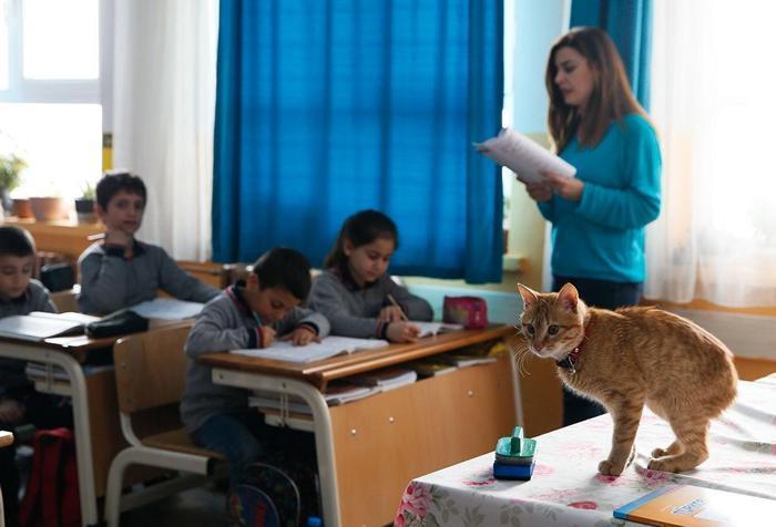 Öğrenciler Tombiye kavuştu