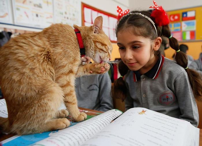 Öğrenciler Tombiye kavuştu