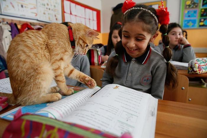 Öğrenciler Tombiye kavuştu
