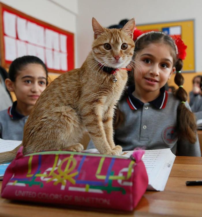 Öğrenciler Tombiye kavuştu