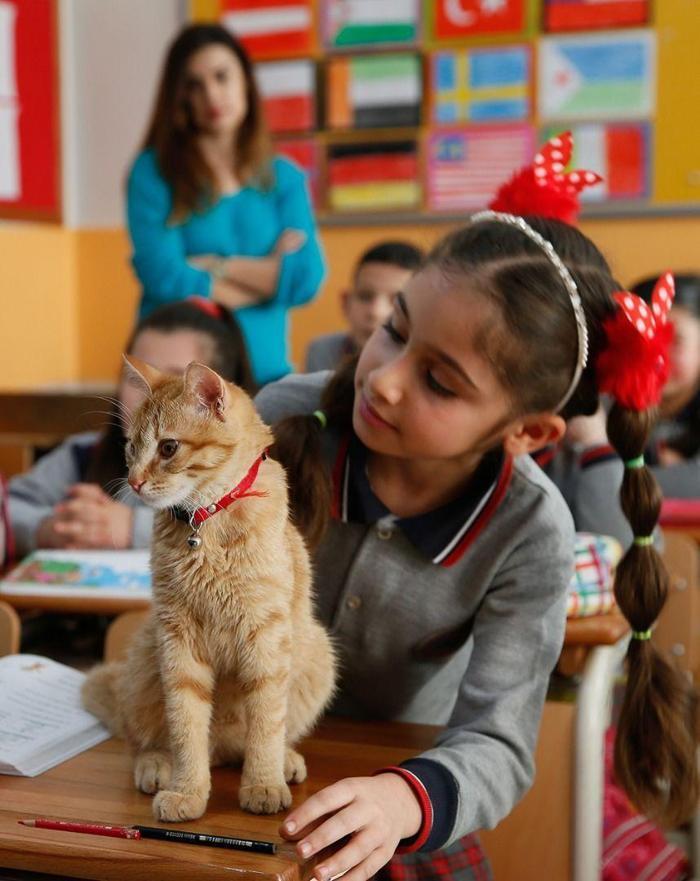 Öğrenciler Tombiye kavuştu