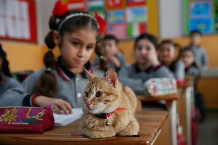 Öğrenciler Tombiye kavuştu