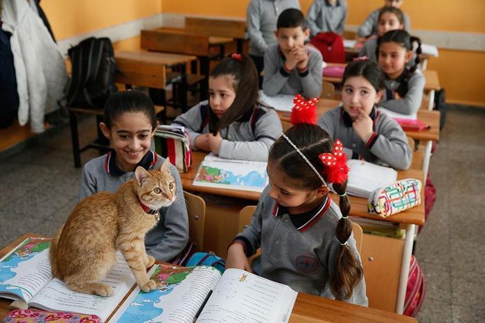 Öğrenciler Tombiye kavuştu
