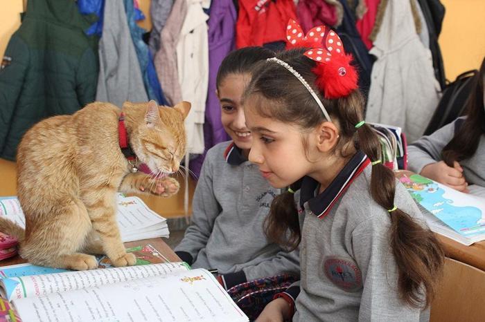 Öğrenciler Tombiye kavuştu