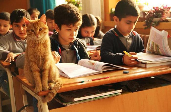 Öğrenciler Tombiye kavuştu