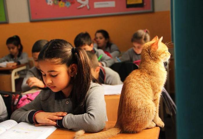 Öğrenciler Tombiye kavuştu
